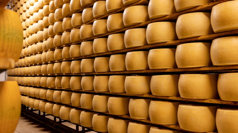 Wheels of parmesan cheese