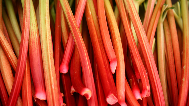 Rhubarb stalks