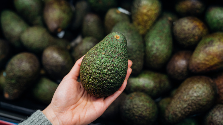 A shopper selects a Hass avocado at the store