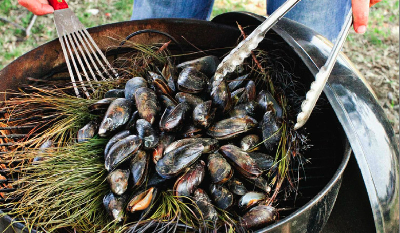 Pine Bough-Roasted Mussels Recipe