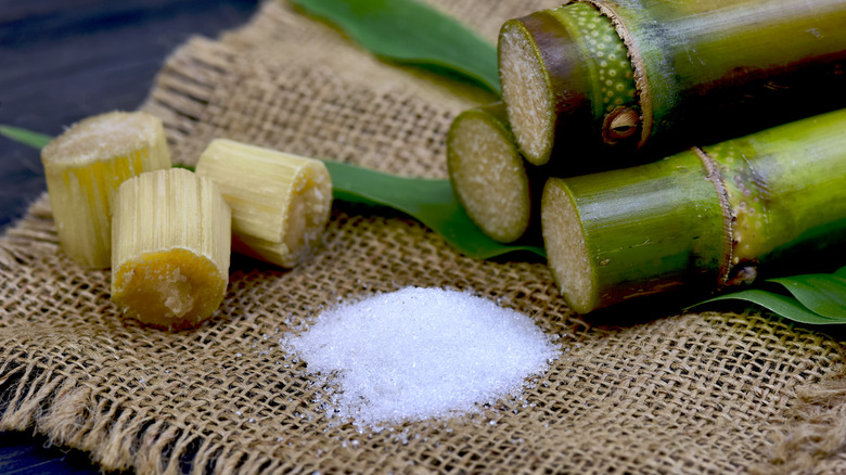 White, processed sugar next to cane sugar stalks.