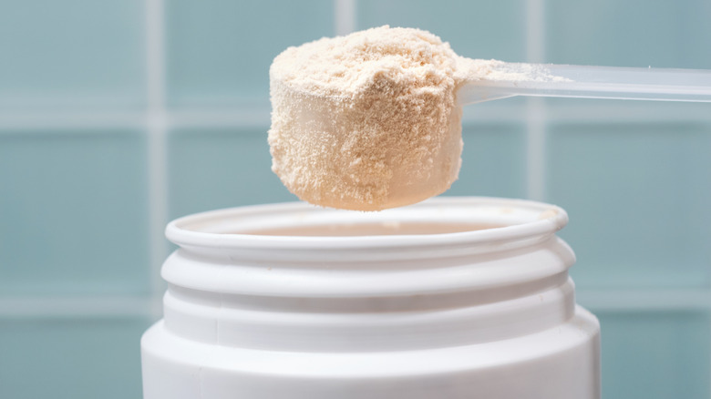 A scoop of protein powder rests aloft the container