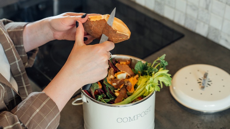 Peeling sweet potato into a compost bucket