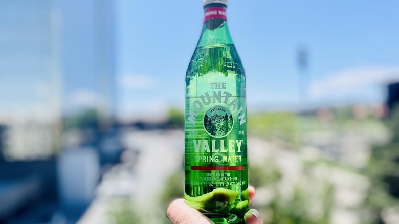 Hand holding bottle of The Mountain Valley water
