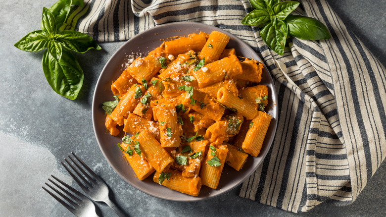Bowl of rigatoni pasta in vodka sauce