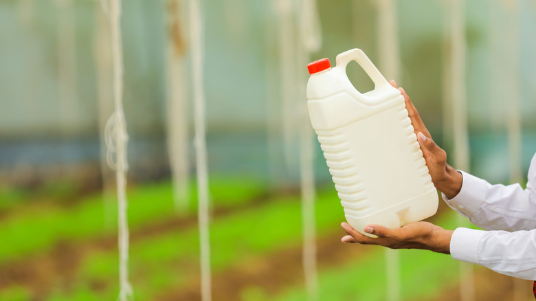 Two hands hold up an empty milk gallon in a greenhouse