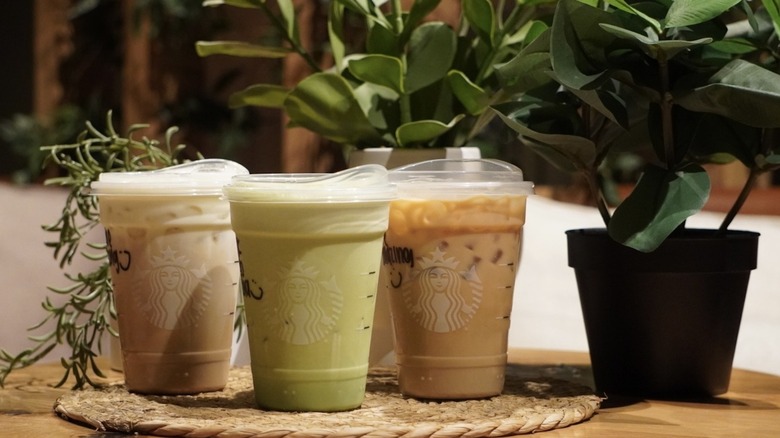 Iced Vanilla Cream Protein Latte, Iced Banana Cream Protein Matcha, and Sugar-Free Vanilla Protein Latte on a woven placemat in front of plants
