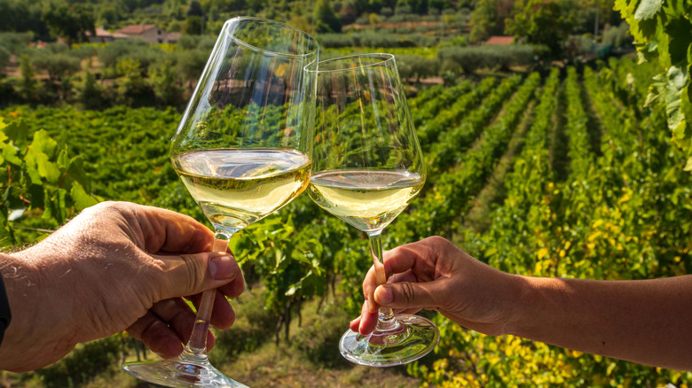 Two glasses of white wine clinked together in a vineyard.