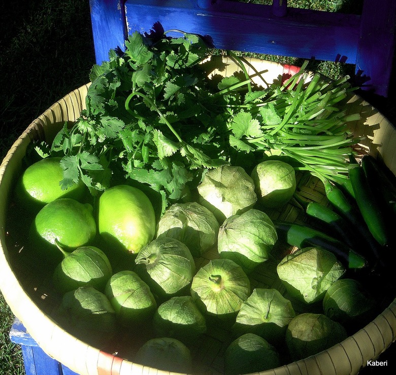 Roasted Tomatillo Chile Salsa Recipe