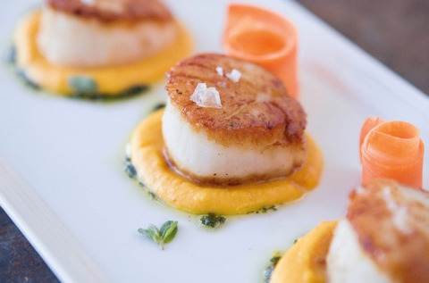 Scallops With Carrot Cream And Marjoram Recipe