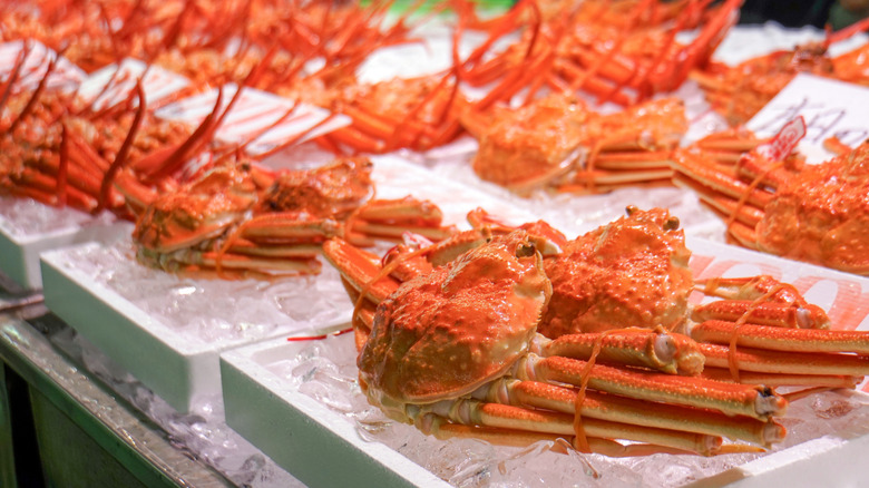 several crabs on ice at market