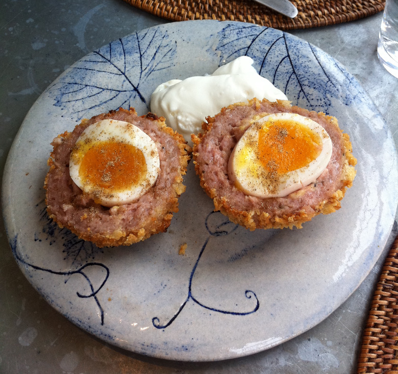 Scotch Egg Recipe