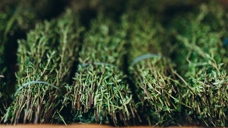 Bundles of fresh thyme