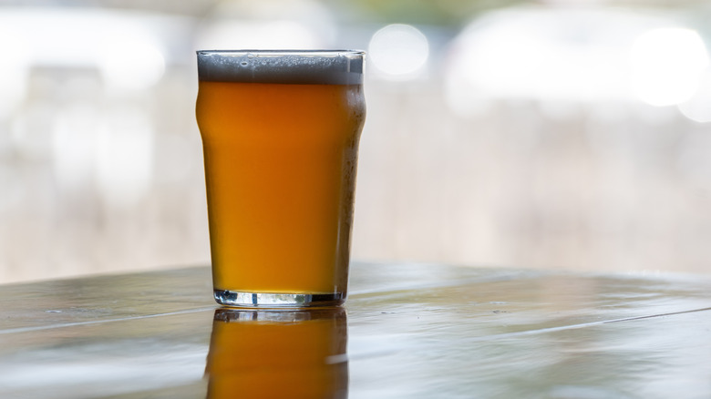 A freshly poured pint of IPA