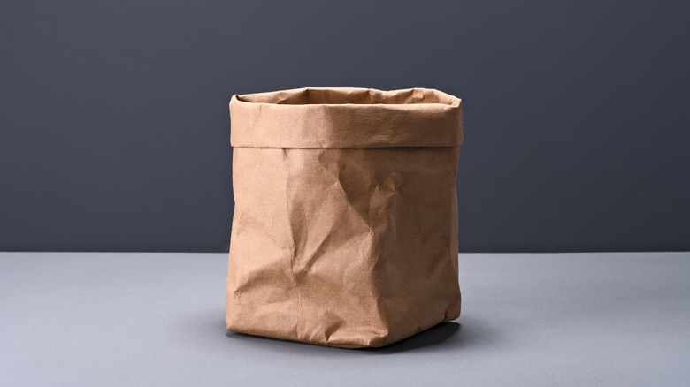 A brown paper bag sits upright, with the edges rolled down, against a gray background