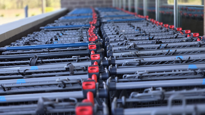 Aldi shopping carts