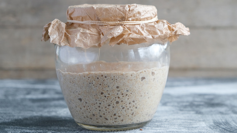 jar of sourdough starter