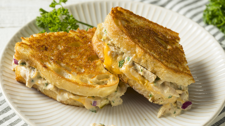 Tuna melt on white plate