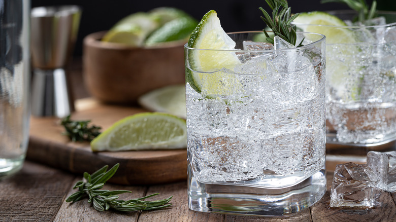 A bubbly gin and tonic.