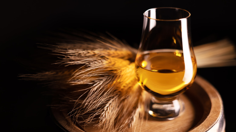 Whiskey in glass with rye 