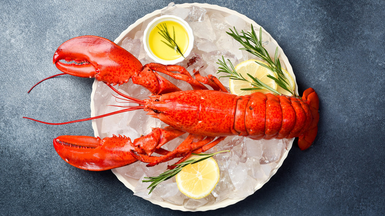 Steamed lobster on a plate.