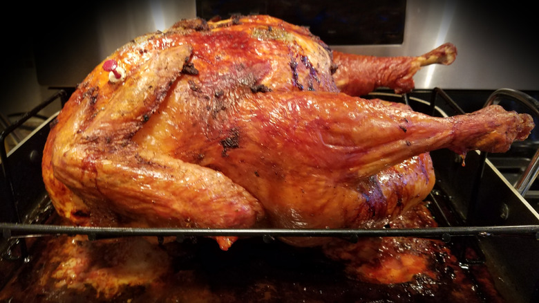 Roasted turkey with crispy skin is in a roasting pan with drippings.