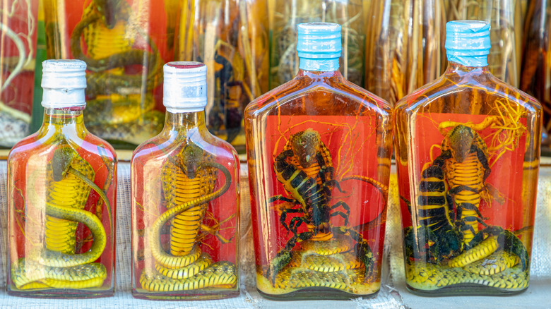 Bottles of snake alcohol