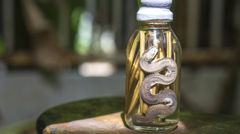 Snake in alcohol