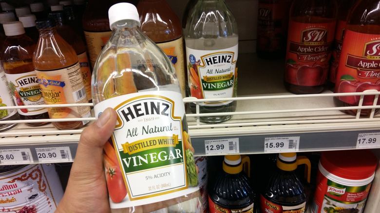 A person holding a bottle of distilled vinegar.