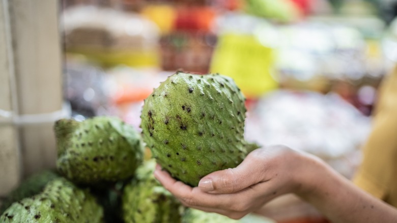 hand holding a soursop