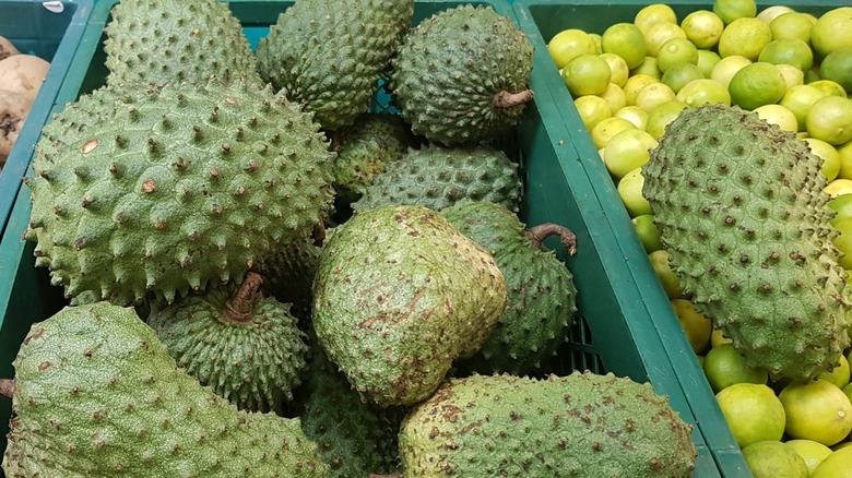 soursop in supermarket