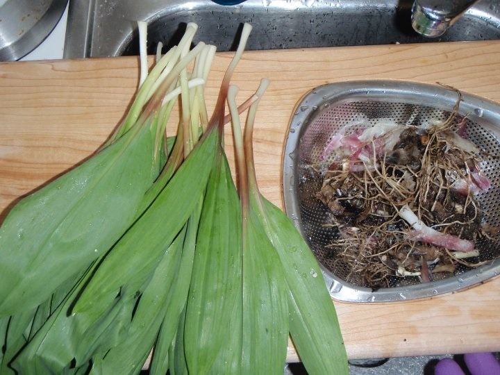 Spicy Pickled Ramps Recipe