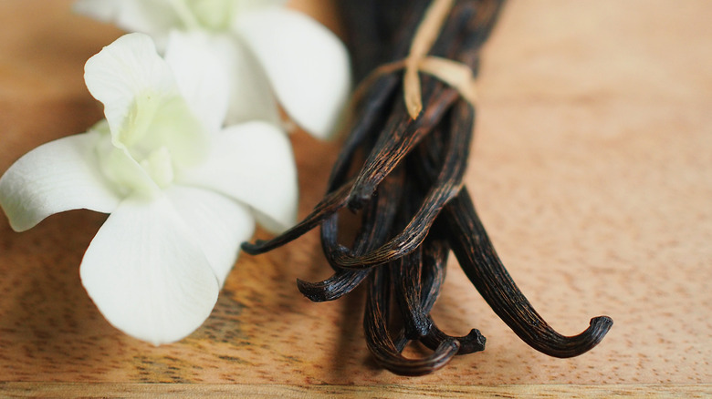 Vanilla orchid and vanilla beans