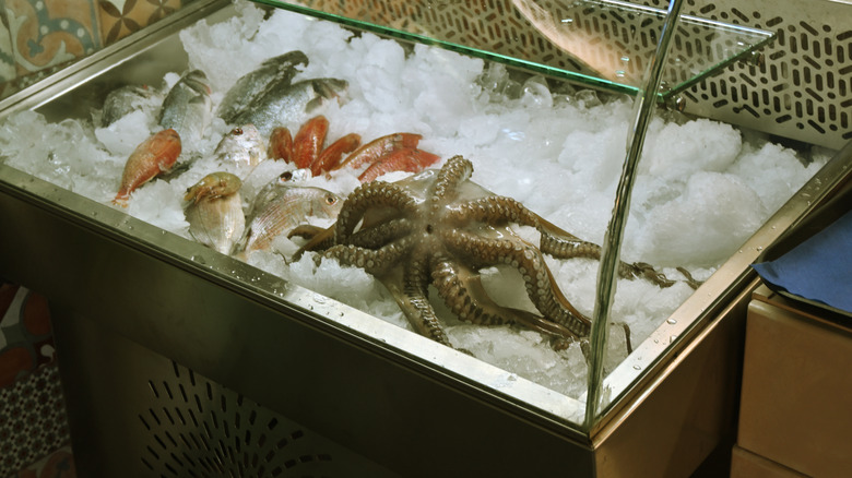 Raw seafood in an ice display
