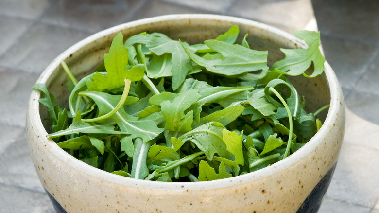 Bowl of fresh raw arugula