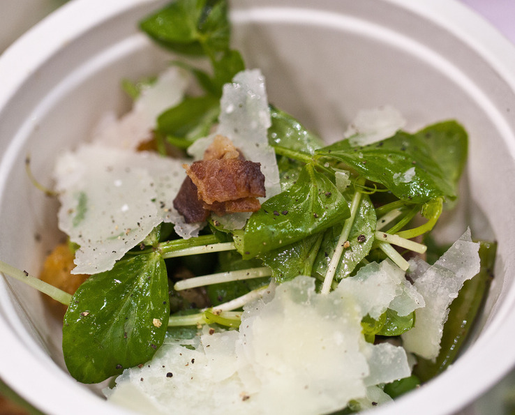 Spring Lunch: Pea Shoots Are Sprouting Up