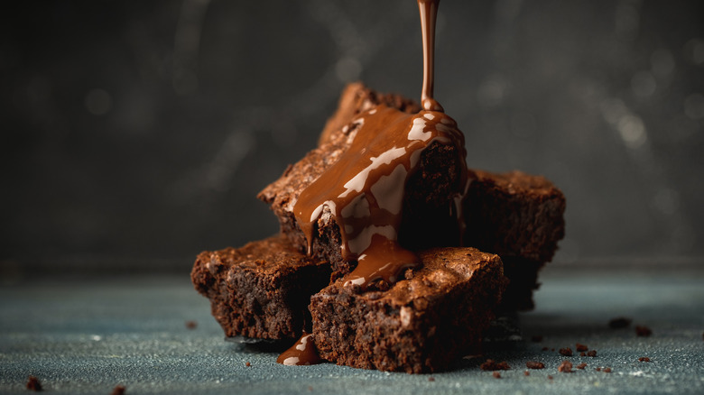 chocolate brownies drizzled with melted chocolate