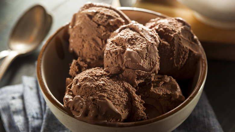 Bowl of chocolate ice cream