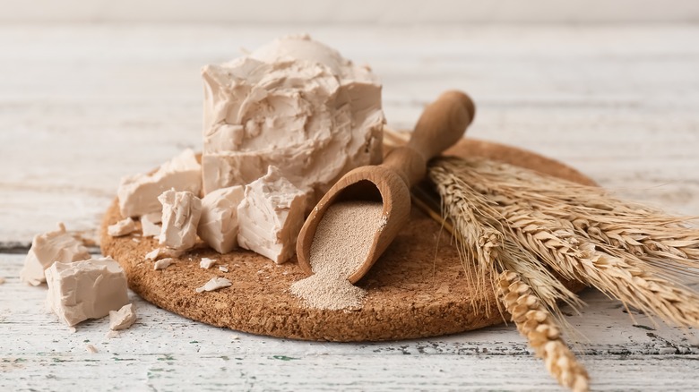 Different types of baking yeast