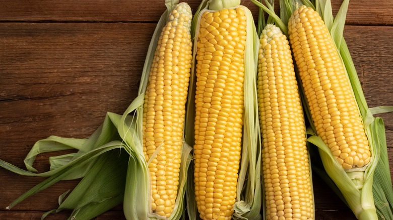 Corn cobs with green husks on