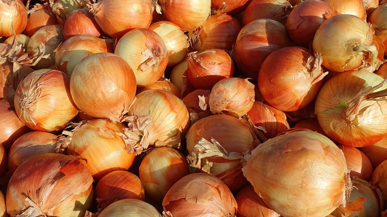 array of golden onions on display