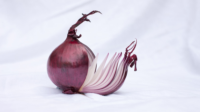 sliced whole onion