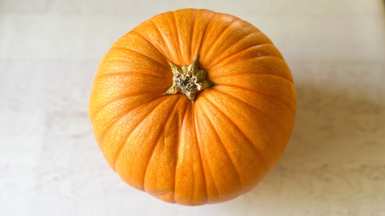 Pumpkin on tabletop