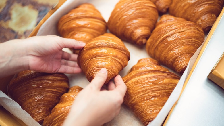 box of freshly baked croissants