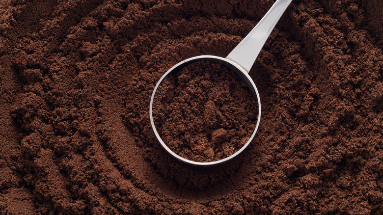 A metal spoon sits in the center of coffee grounds with circles traced in them