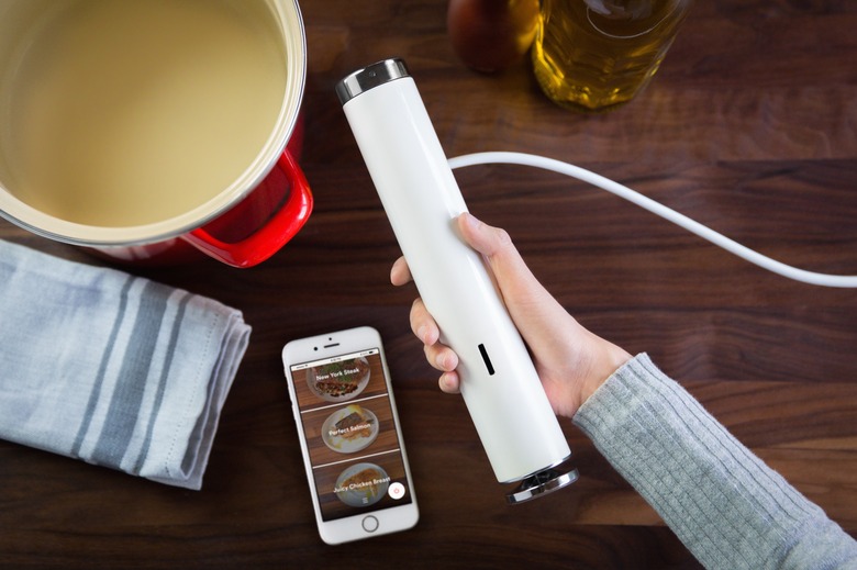 Joule Sous Vide by ChefSteps Review: Small But Powerful