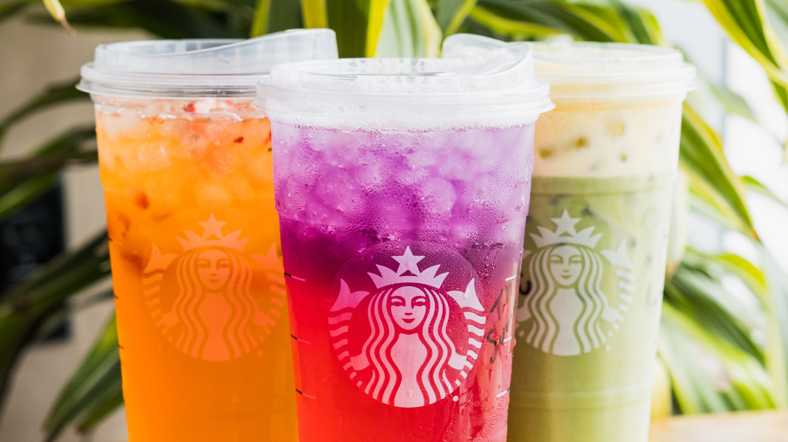 <a href="https://www.foodrepublic.com/2182972/best-starbucks-drinks-can-order-according-baristas-reddit/" target="_blank">The 11 Best Starbucks Drinks You Can Order, According To Baristas On Reddit</a>