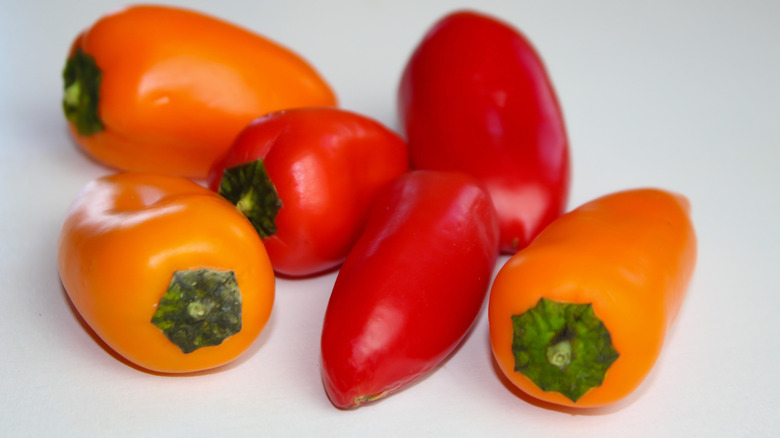 A group of mini sweet peppers.