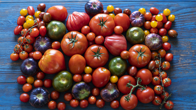 Overhead view of different types of tomatoes on a wooden table