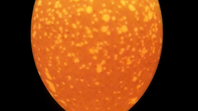 Mottled egg under candling